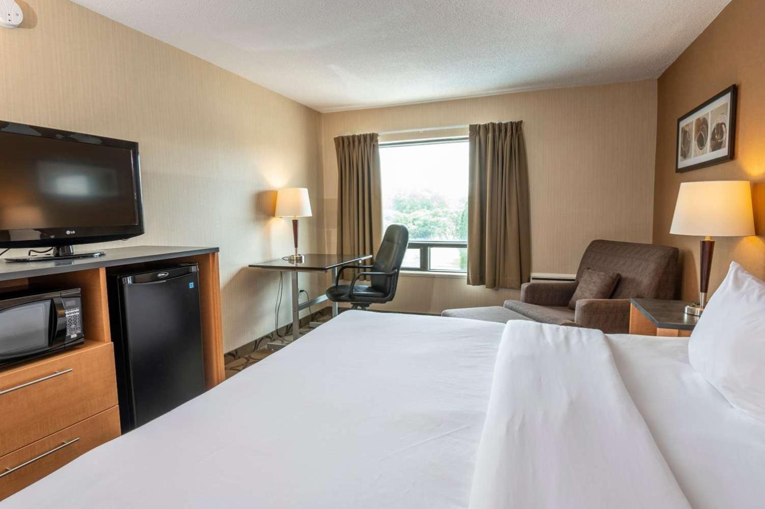 Comfort Inn Campbellton Dış mekan fotoğraf