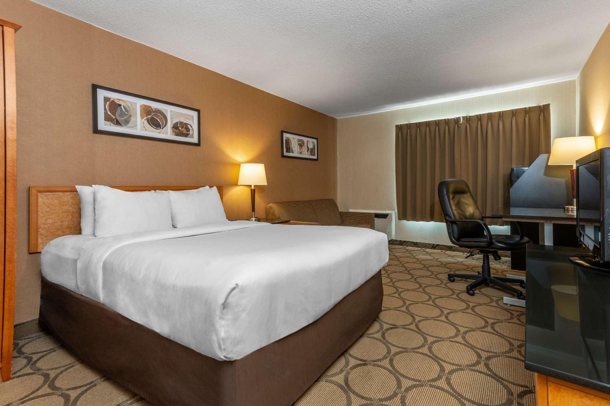 Comfort Inn Campbellton Dış mekan fotoğraf