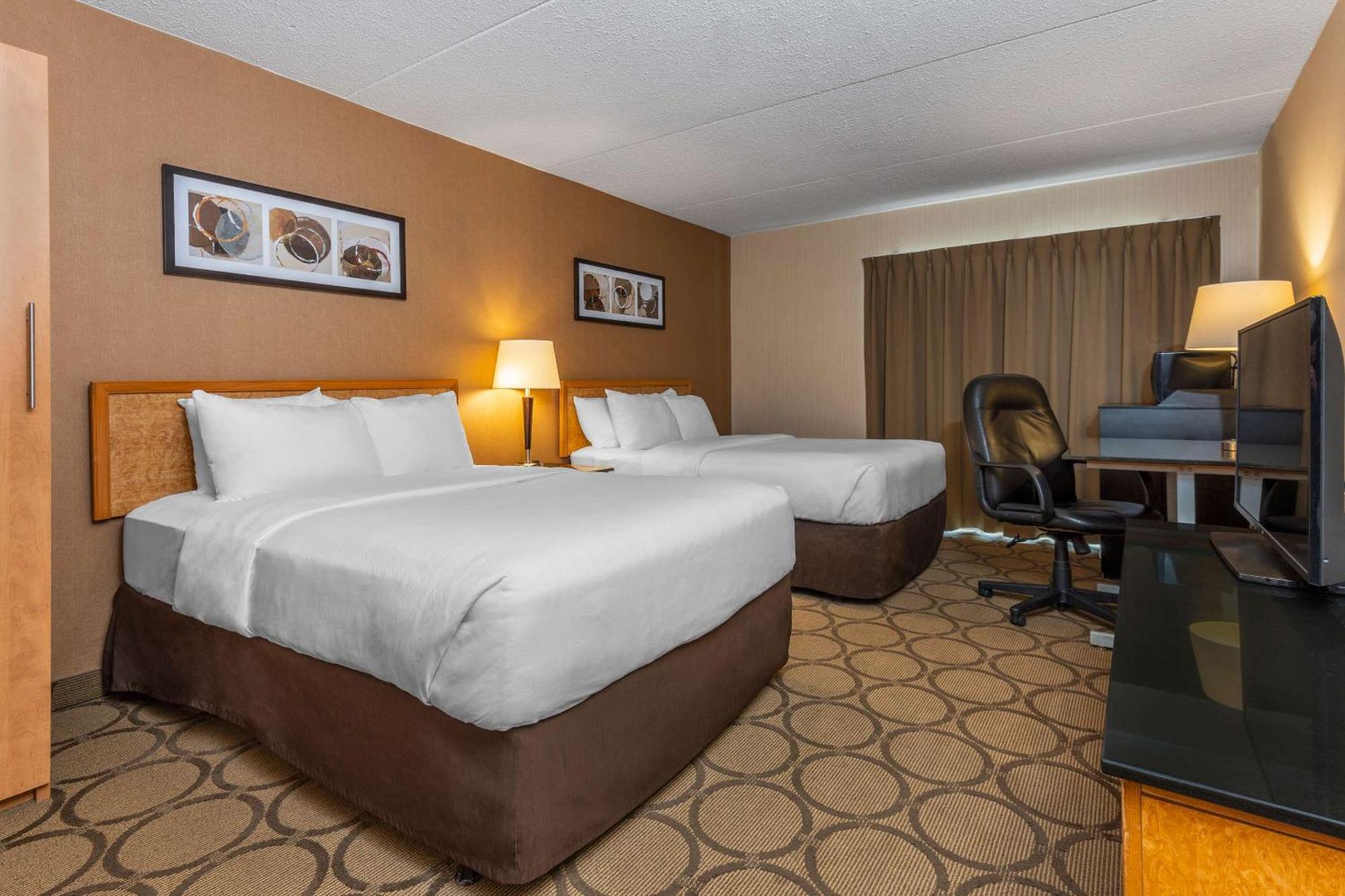 Comfort Inn Campbellton Dış mekan fotoğraf